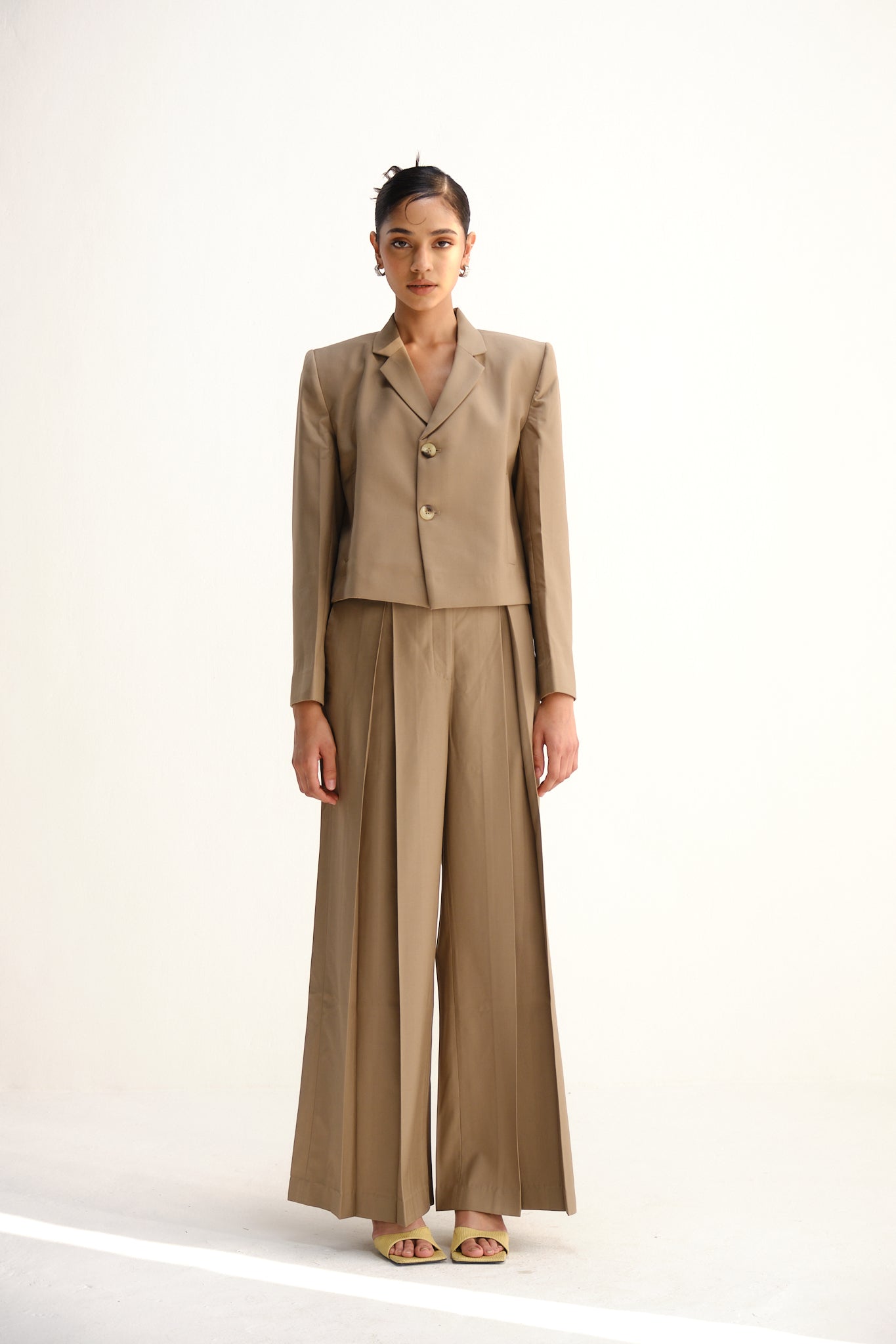 Deep Pleats Pants | Sand Brown